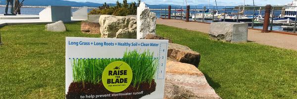 Raise the Blade sign on lawn near Lake Champlain